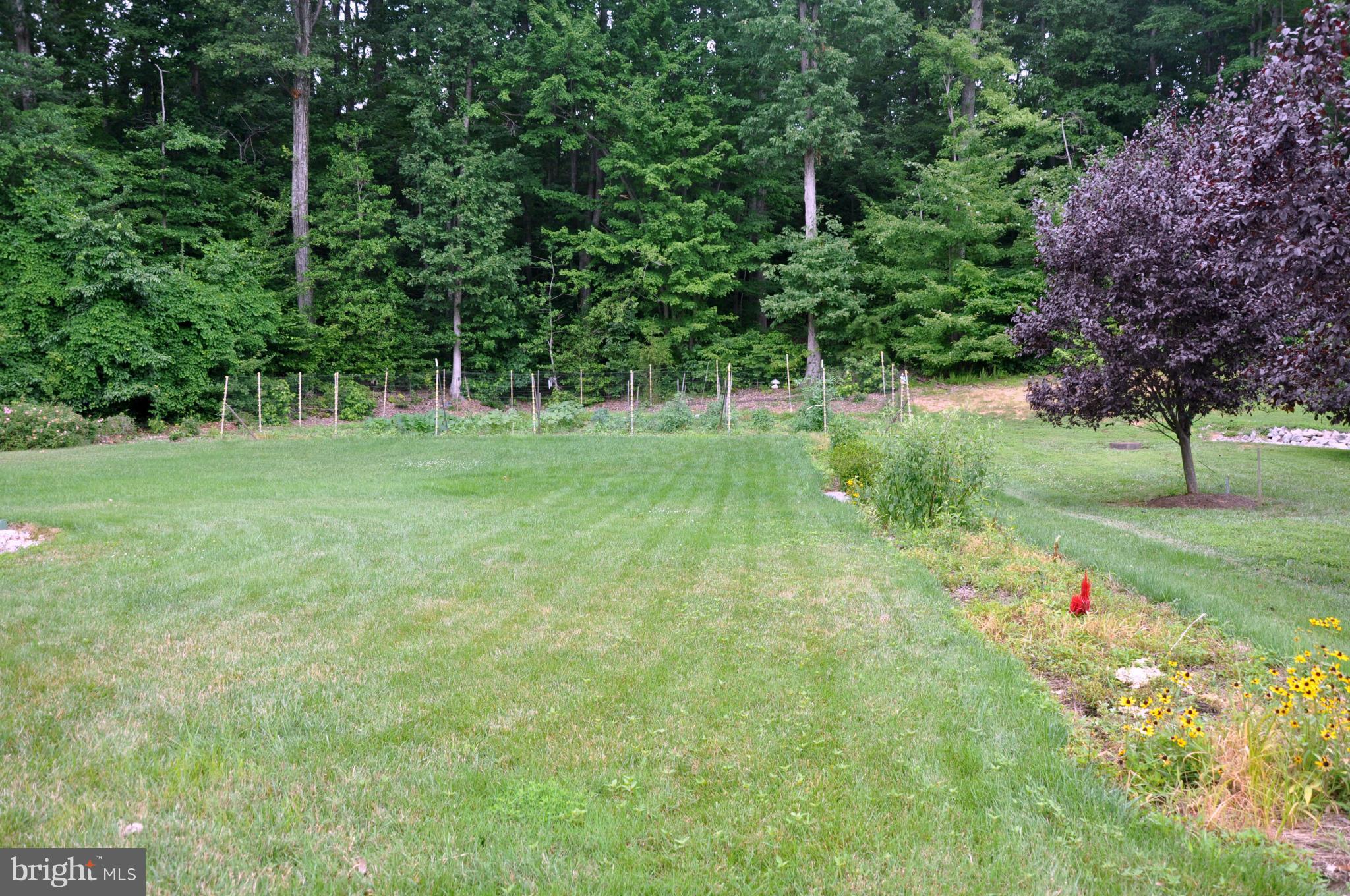 DAWSON LANDING - Residential