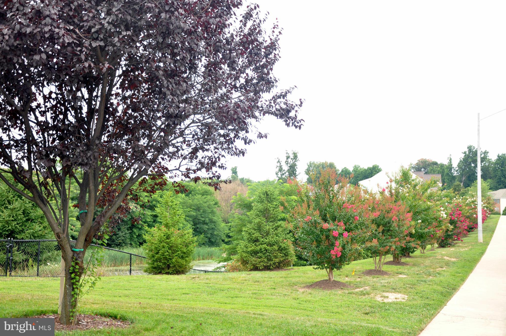 DAWSON LANDING - Residential