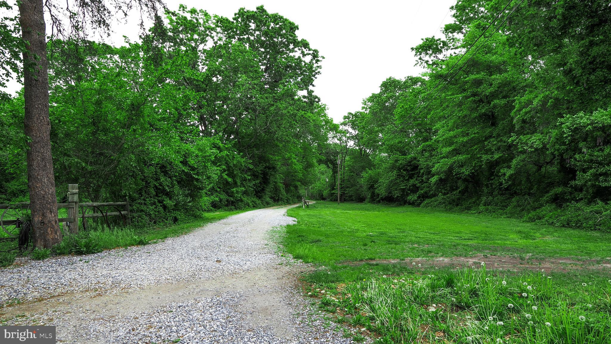 13169 BUCKSHUTEM ROAD