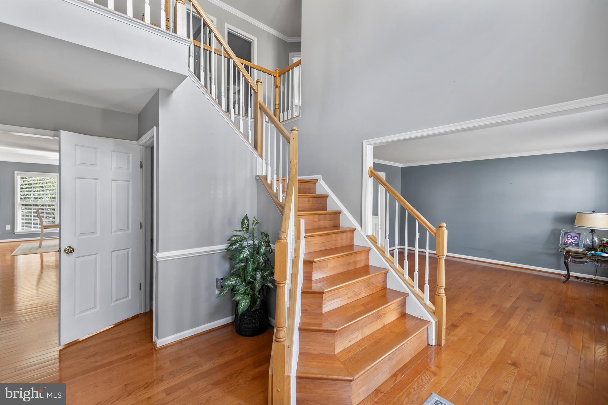 3622 CAROLINA COURT
