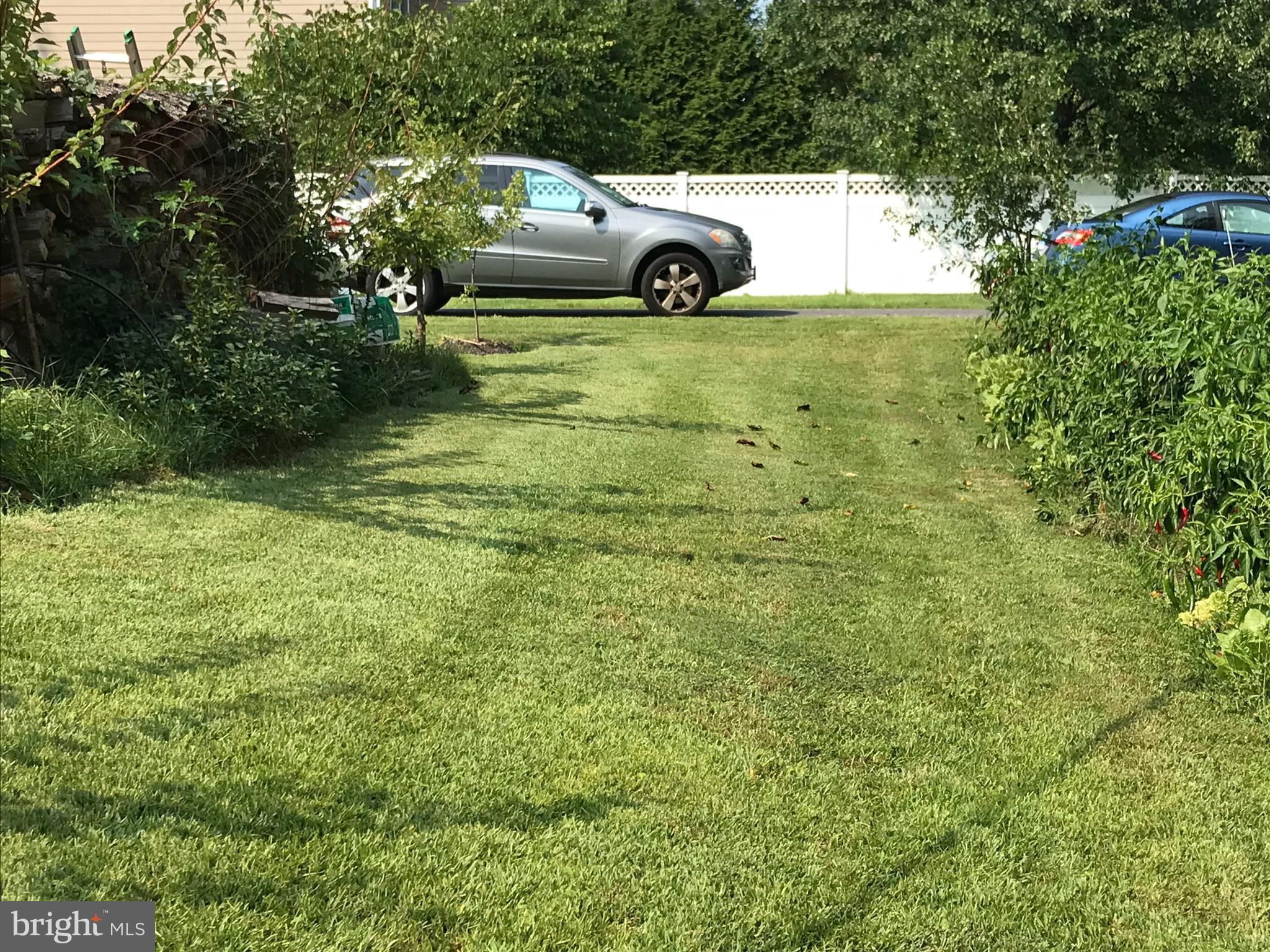 FAIRFAX ACRES - Residential Lease