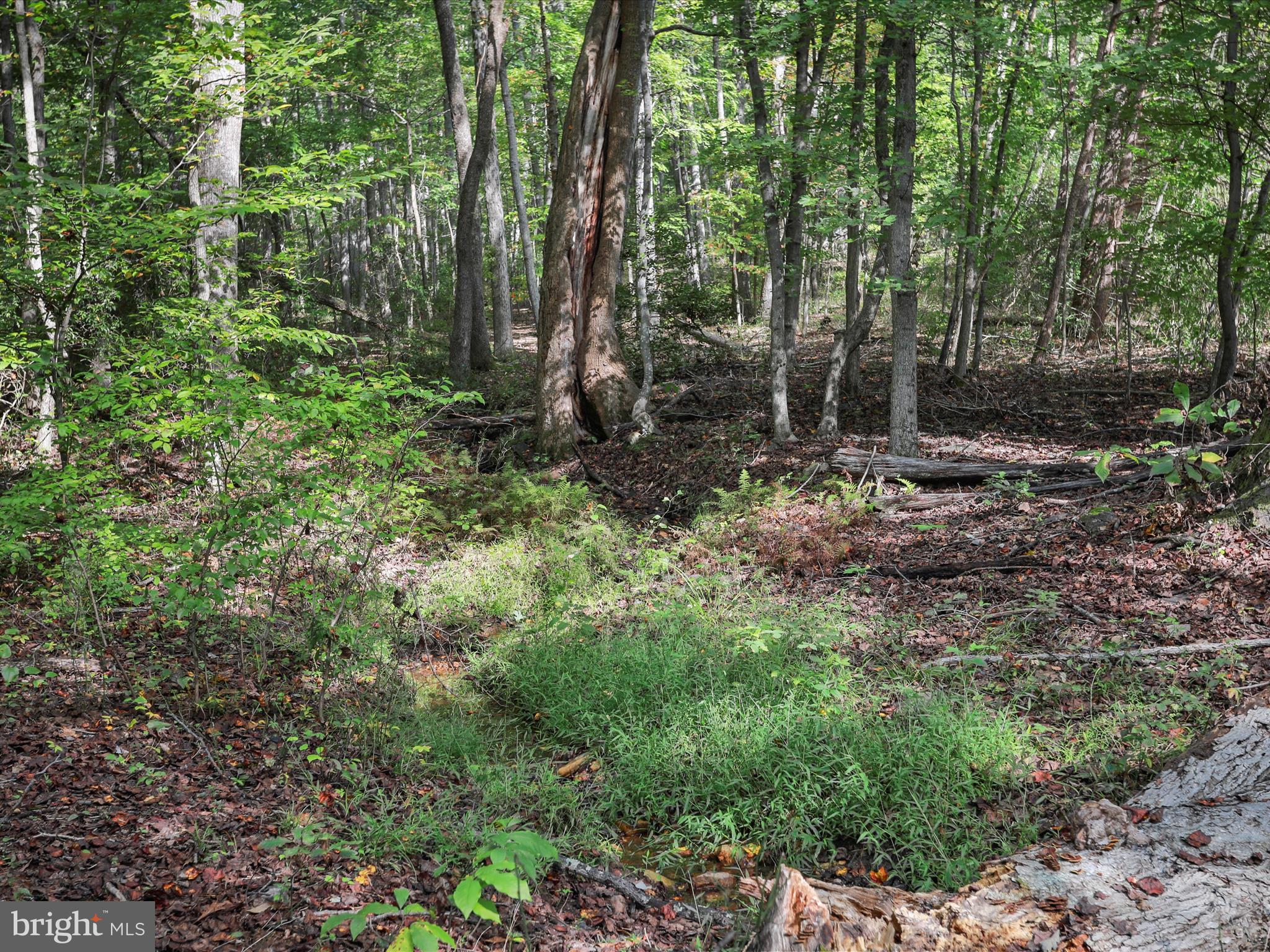 COUNTRY CREEK - Residential