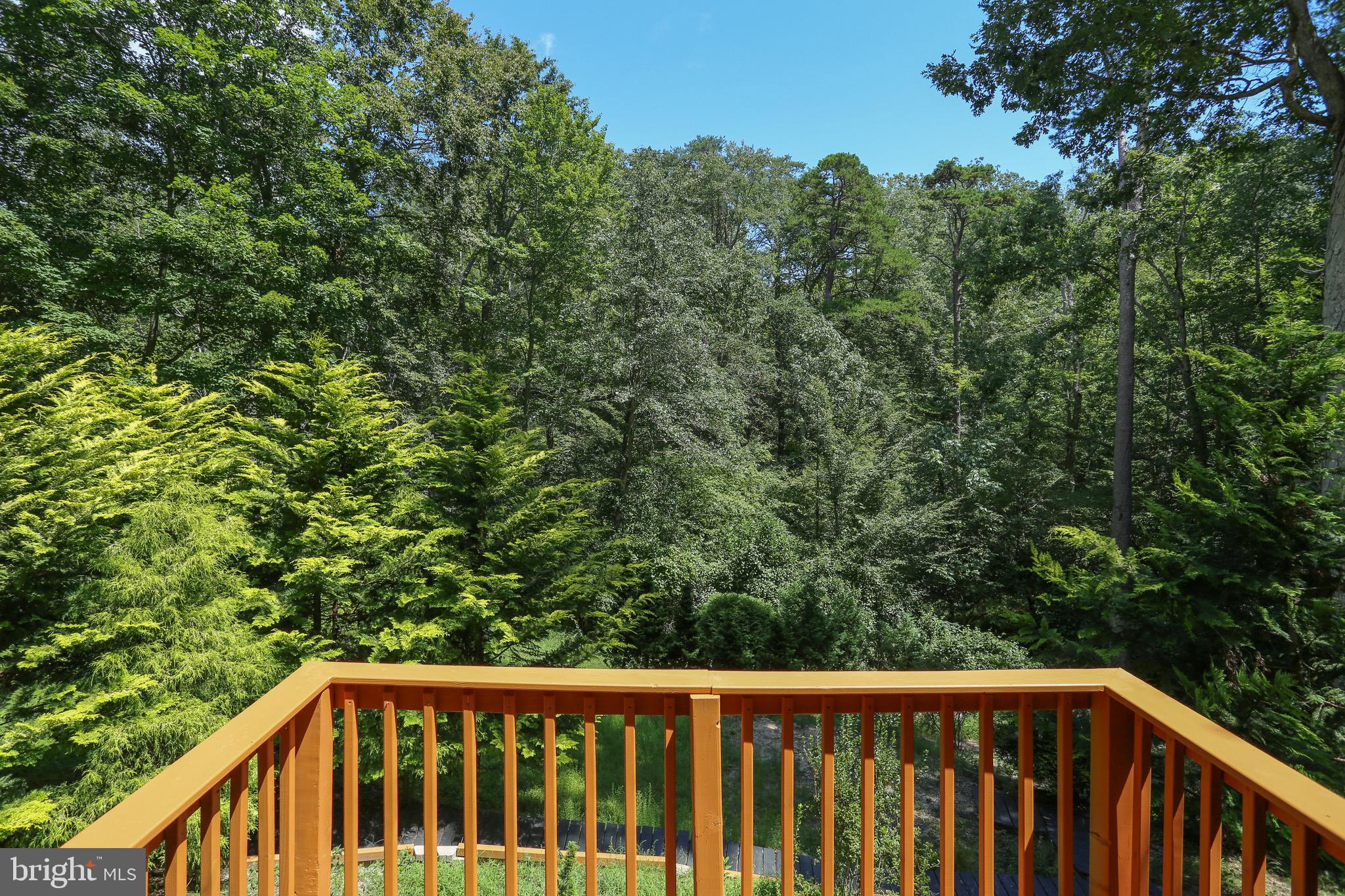 CHESAPEAKE RANCH ESTATES - Residential