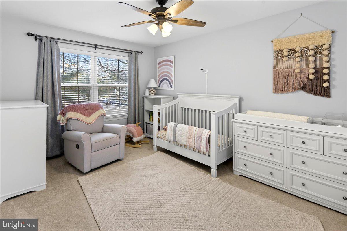 BRANDON FARMS - Residential