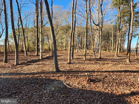 Vacant Land For Sale - Ocean Gateway<br/> TRAPPE, MD 21673
