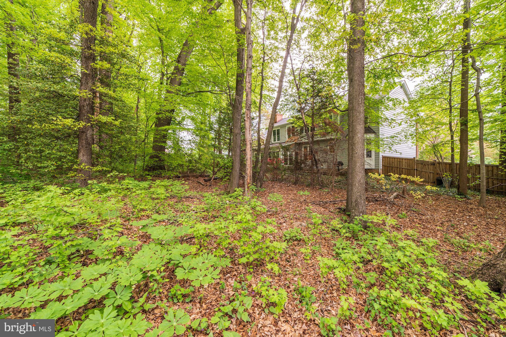 SIGNAL HILL ESTATES - Residential