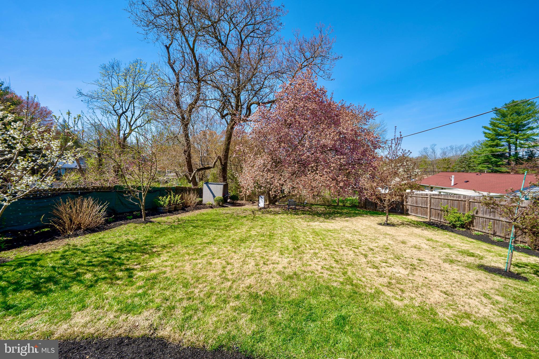 COLLEGE PARK - Residential