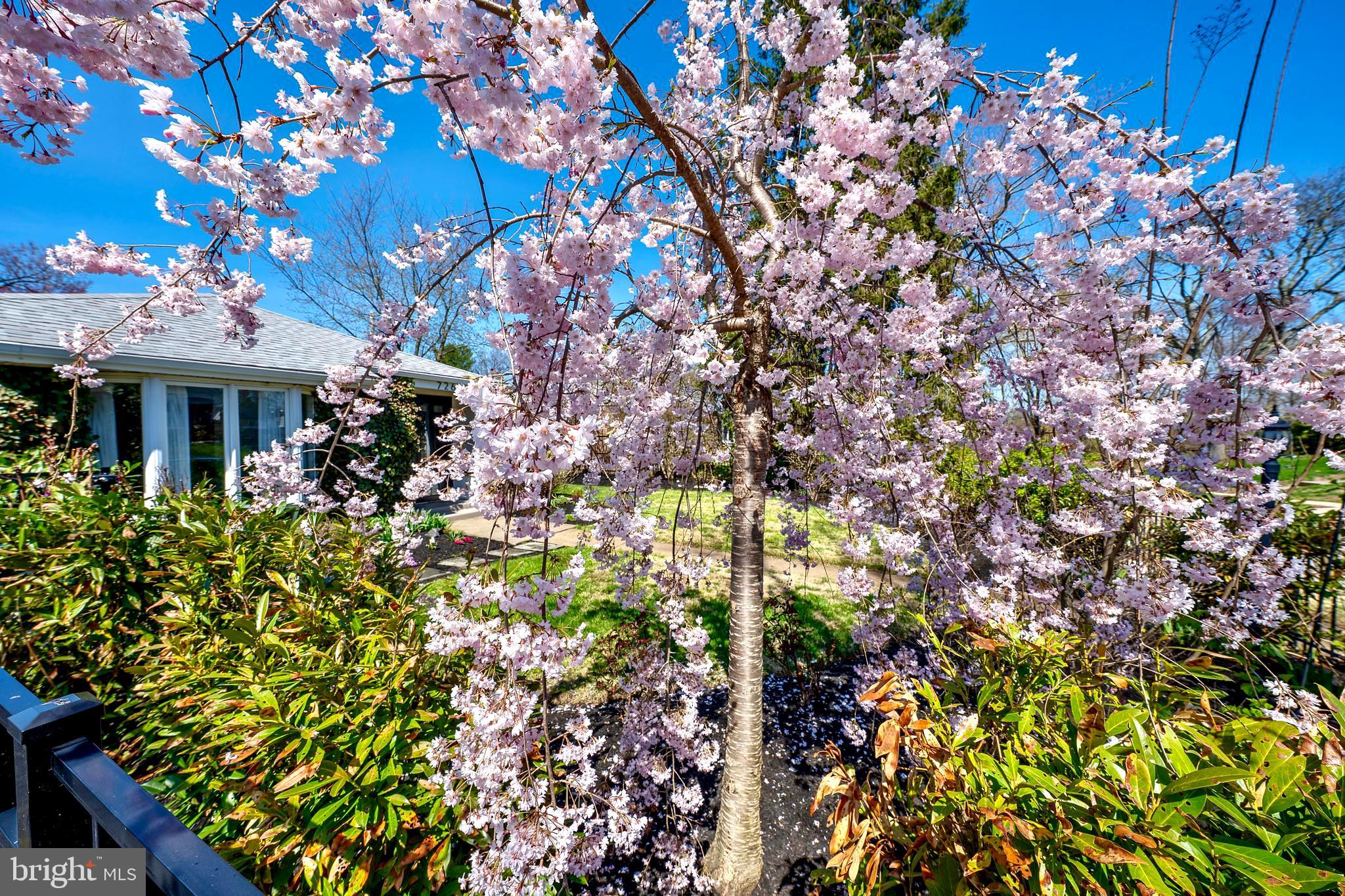 COLLEGE PARK - Residential