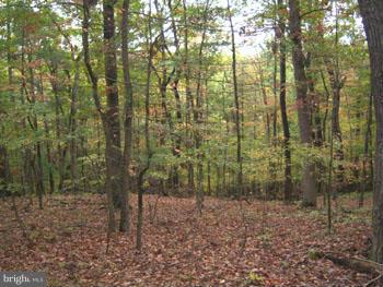 MEREDITH RIDGE - Land