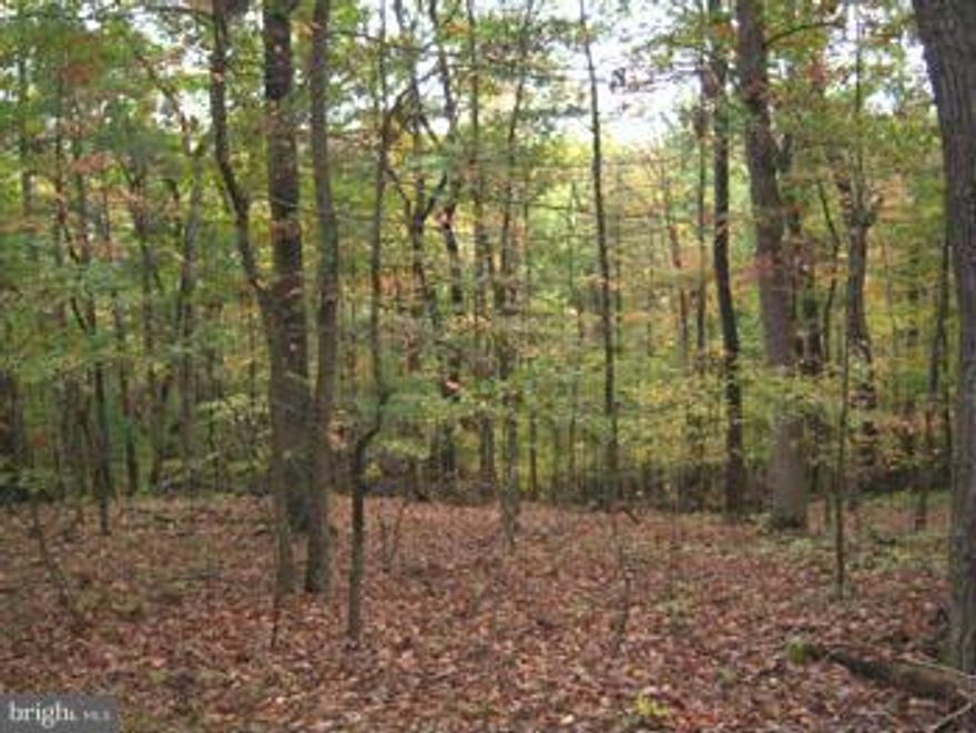 20.80 acres gently rolling woodlands with flowing stream frontage, driveway and gate in place, just 3 miles from town this would make an excellent home site or hunting, investment property. Driveway and gate in place making a very private and peaceful setting.