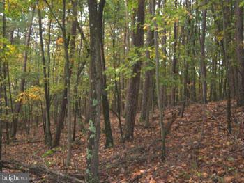 MEREDITH RIDGE - Land