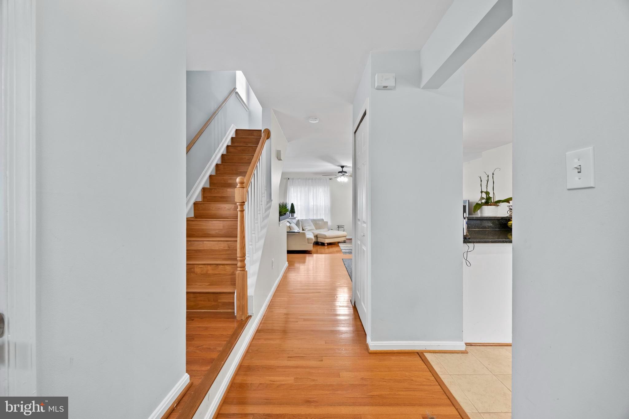 3930 COLLIS OAK COURT