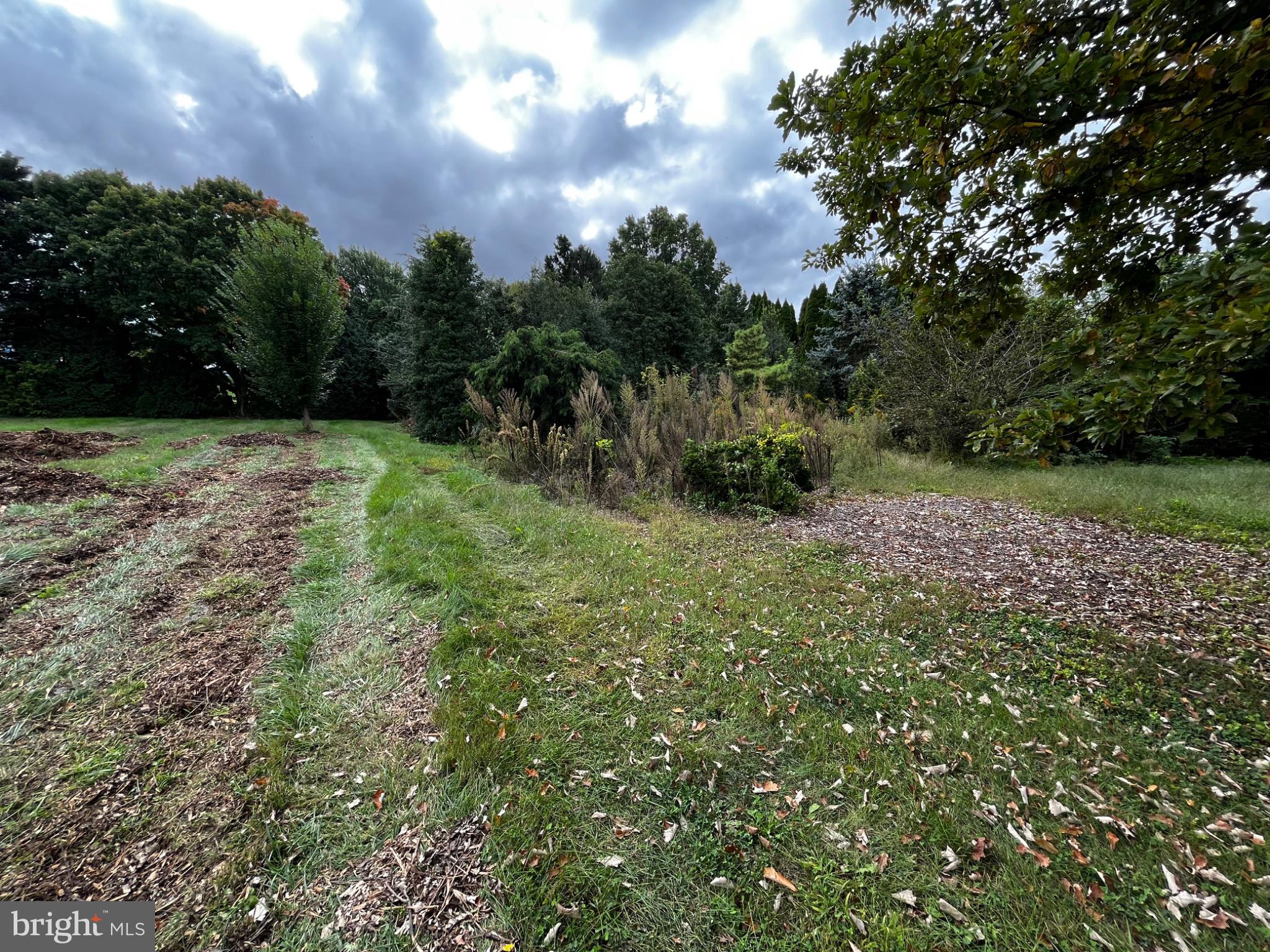 Lot #6 NORLO