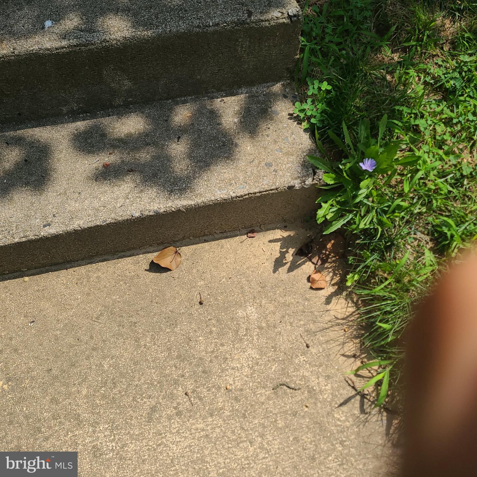 UPTON VILLAGE NORTH - Residential