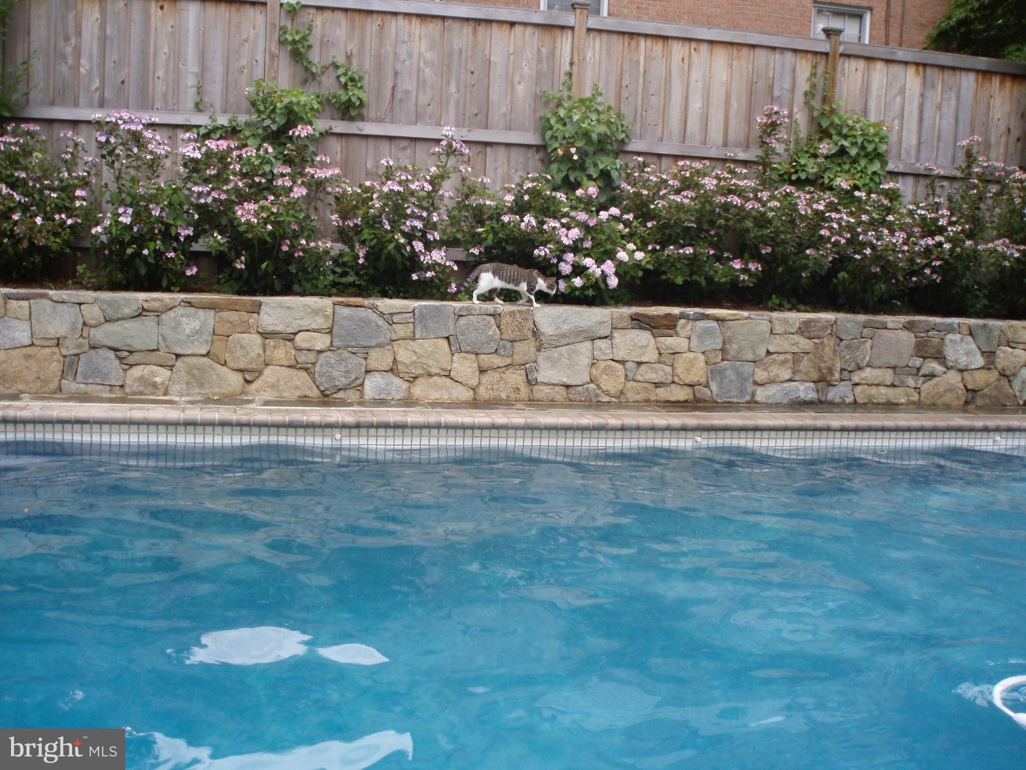 BETHESDA - Residential