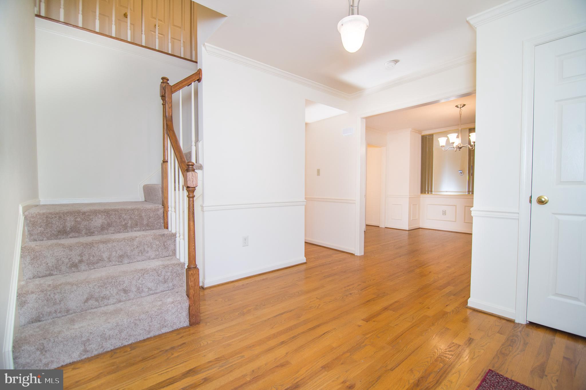 WHITE HALL FOREST - Residential