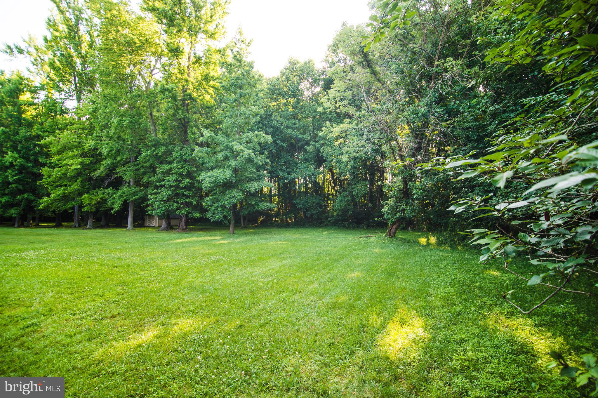 WHITE HALL FOREST - Residential