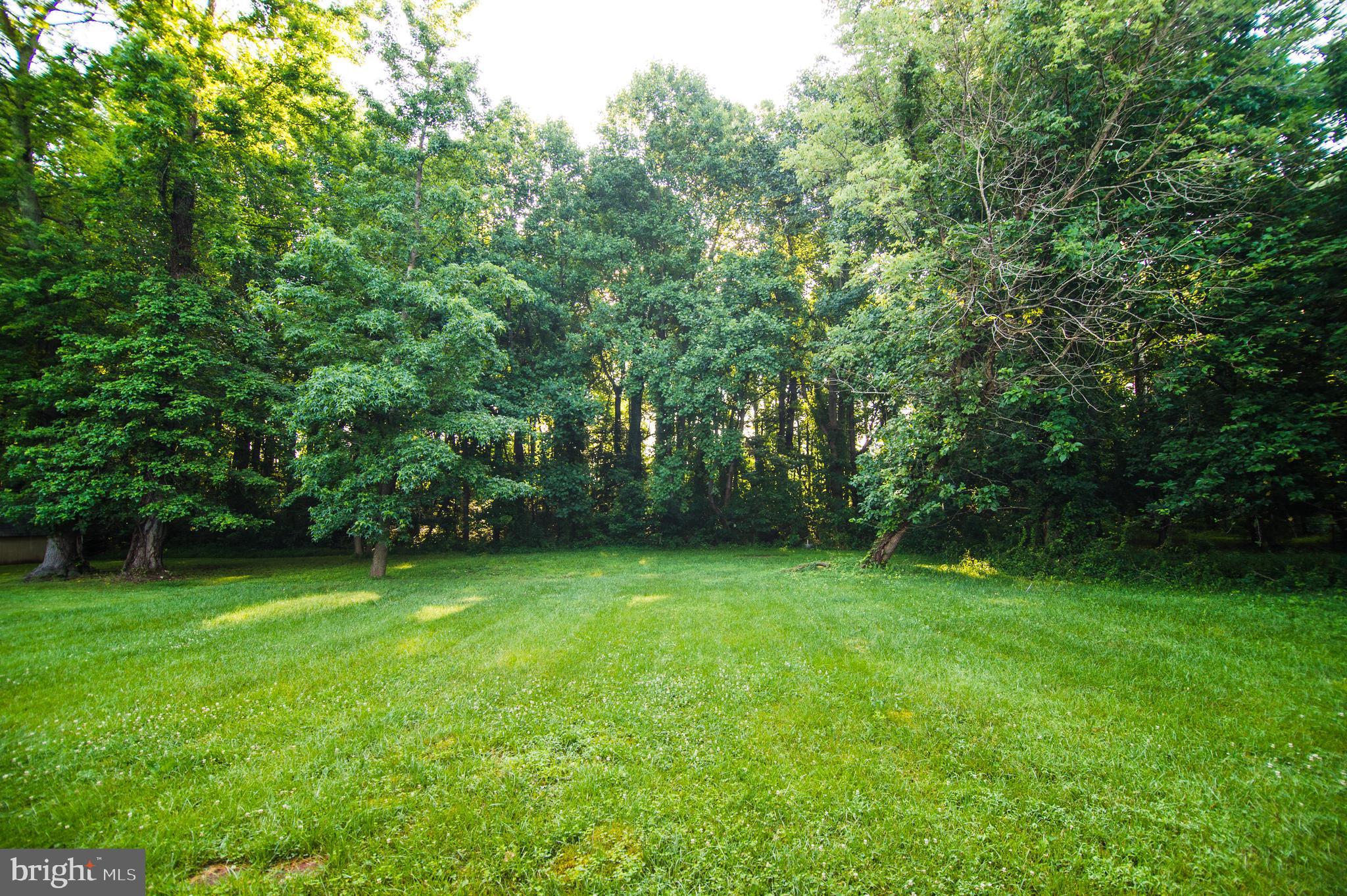 WHITE HALL FOREST - Residential
