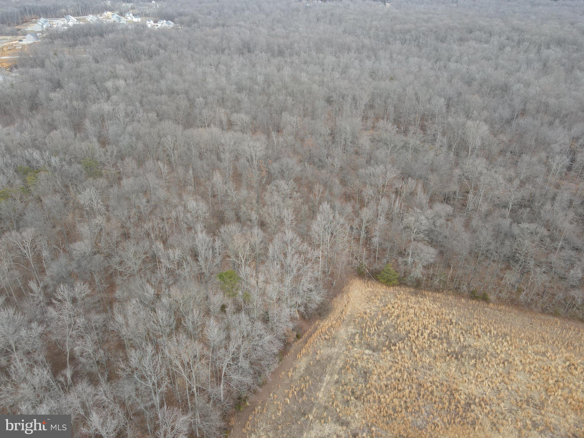 NONE AVAILABLE - Land