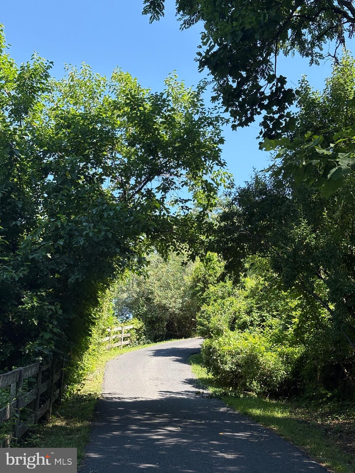 296 BEN VENUE ROAD