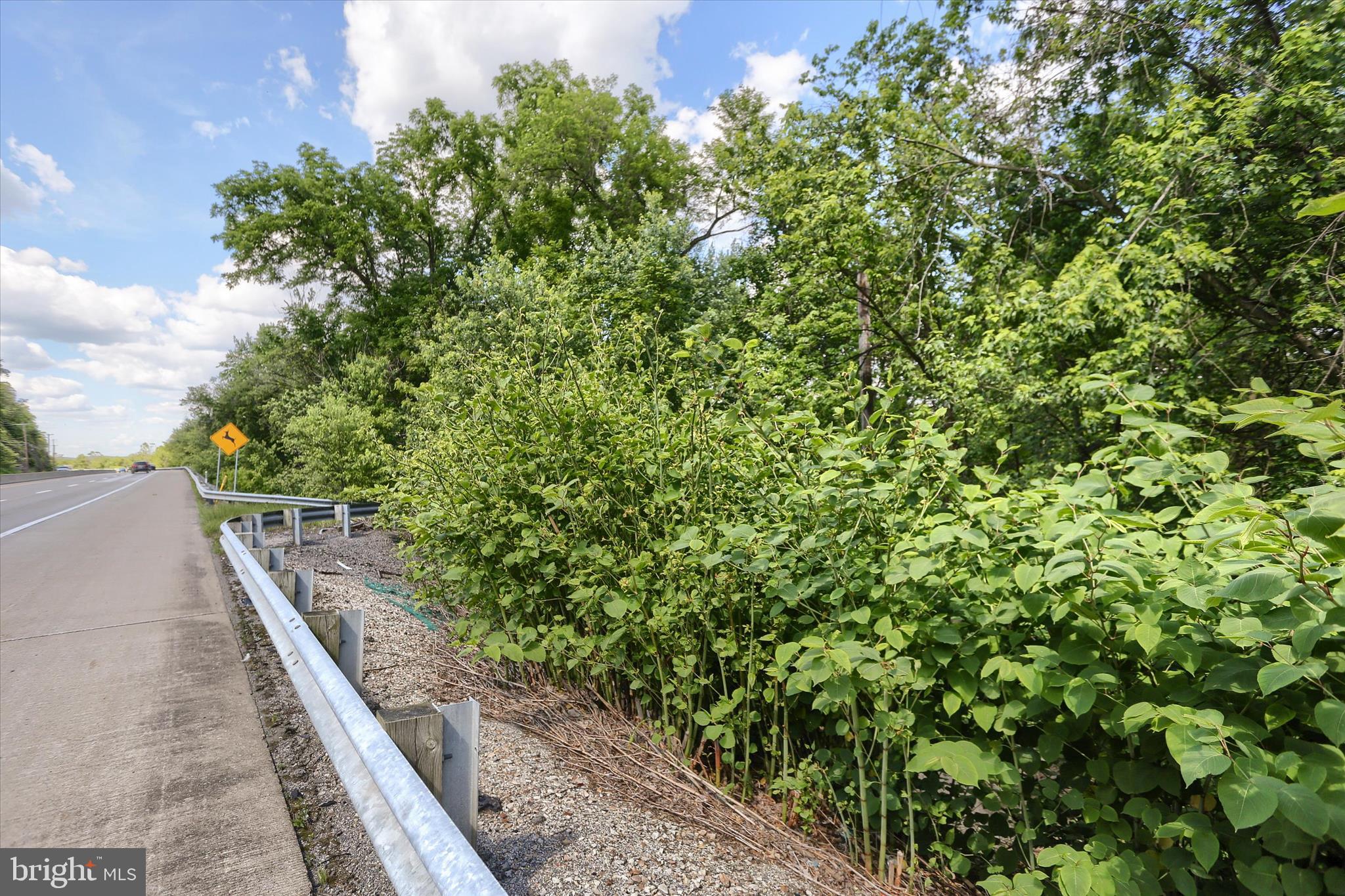 SUSQUEHANNA TRAIL