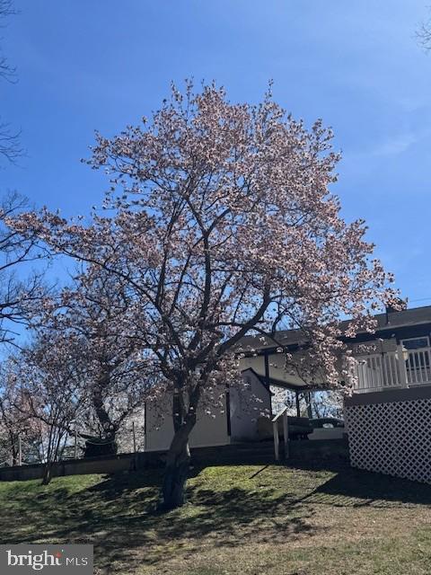 DARNESTOWN OUTSIDE - Residential