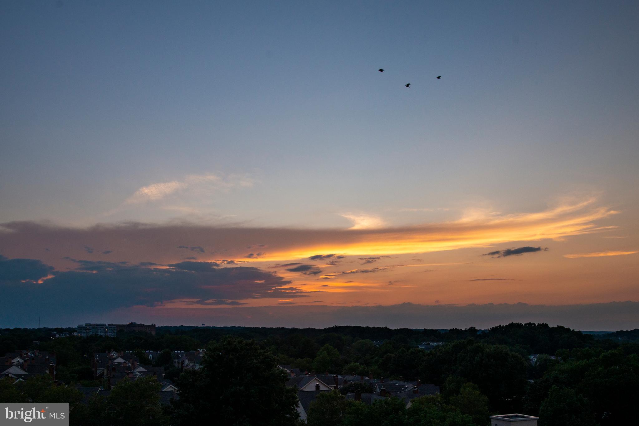 ROSSLYN - Residential