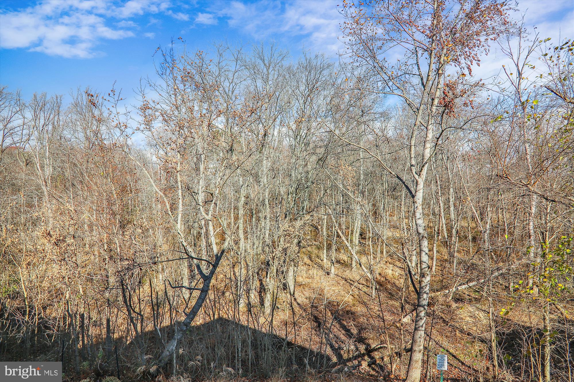 MAPLE LAWN - Residential