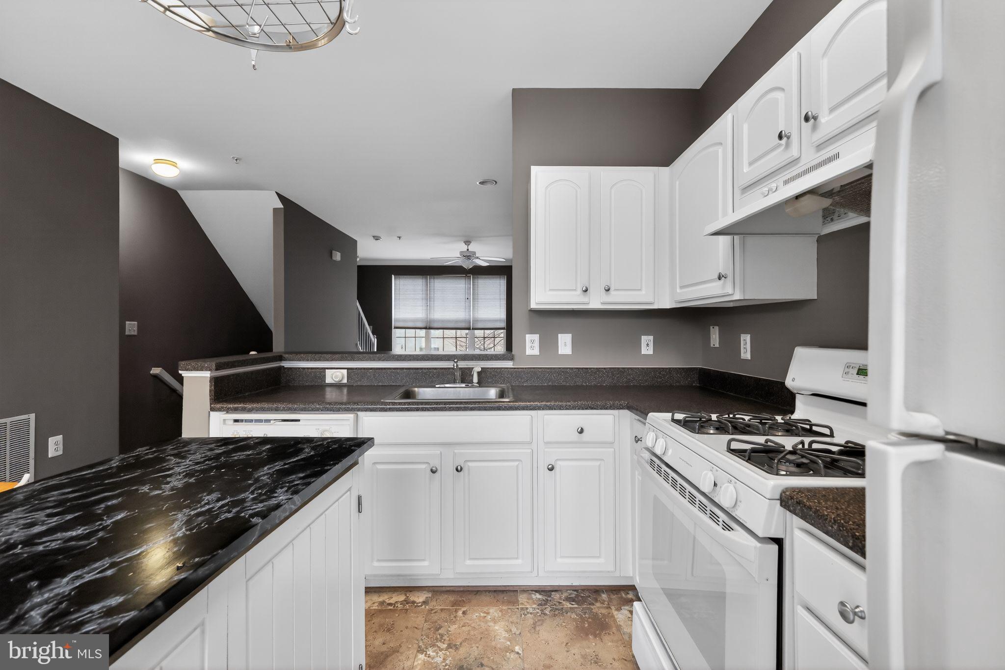 PARKSIDE AT ASHBURN - Residential