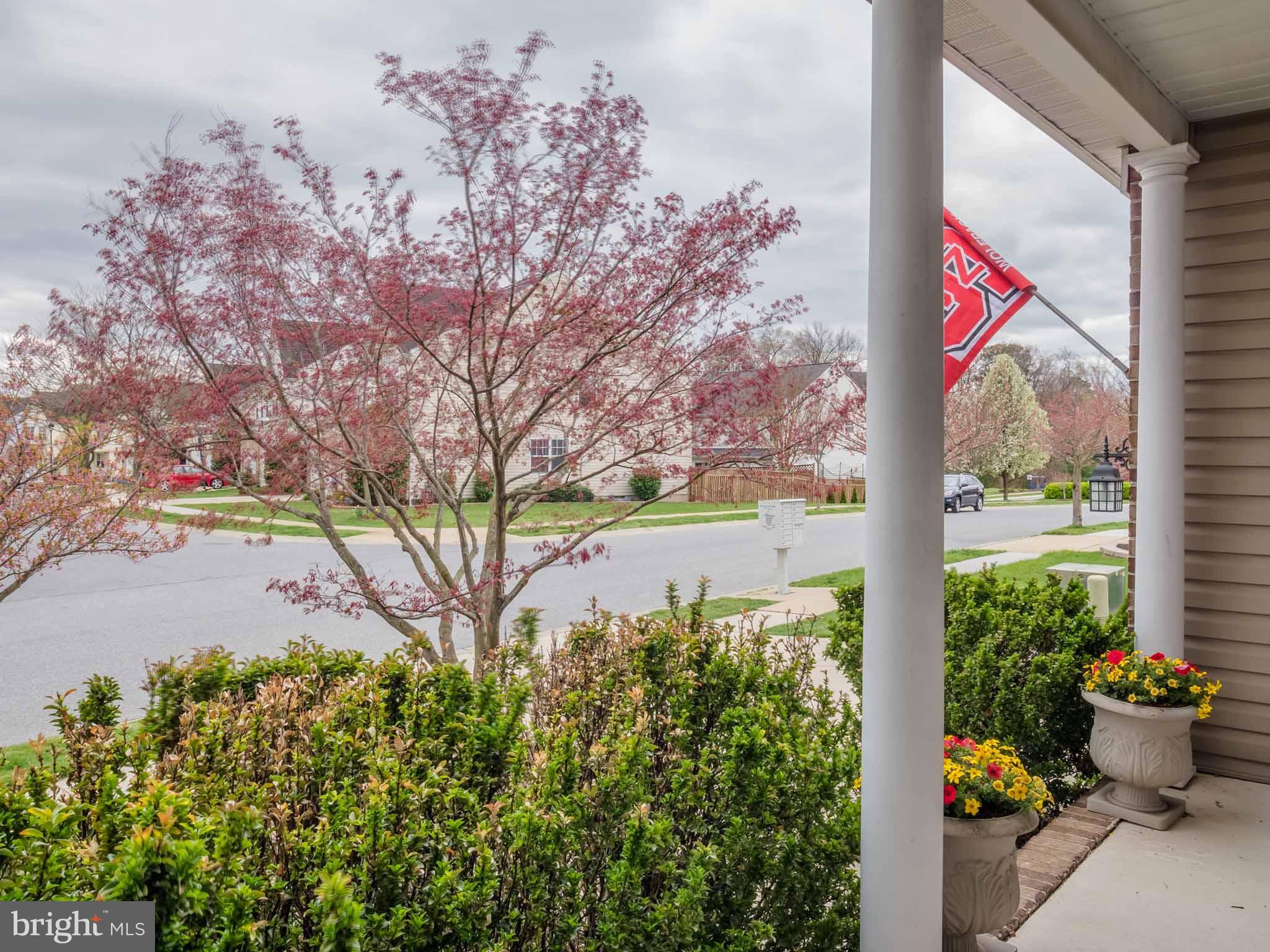 DANIELS PURCHASE - Residential