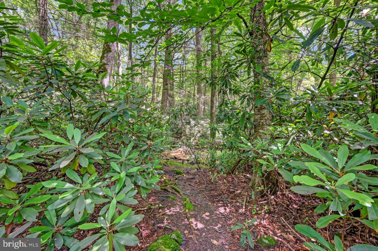 PLEASANT VALLEY ESTATES - Residential