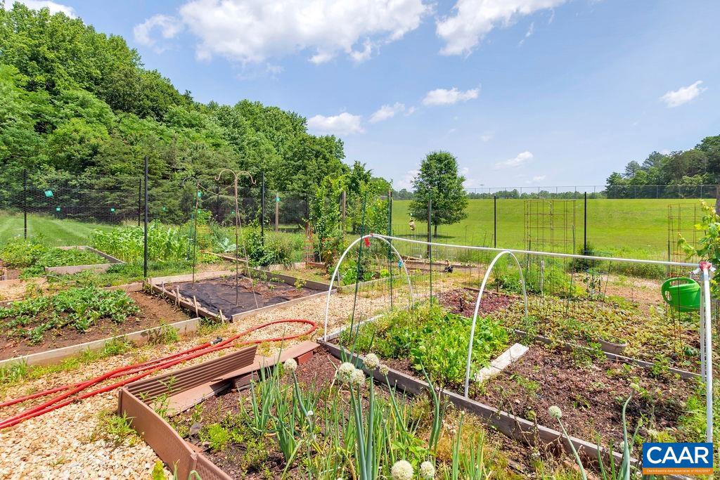 FOREST LAKES - Residential