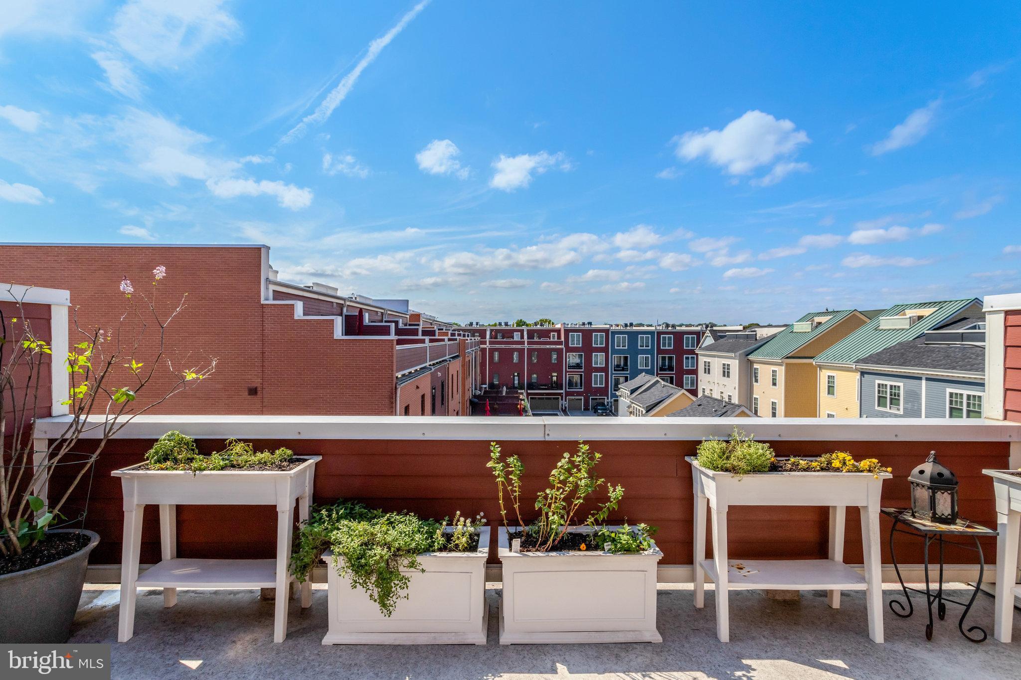 POTOMAC YARD - Residential