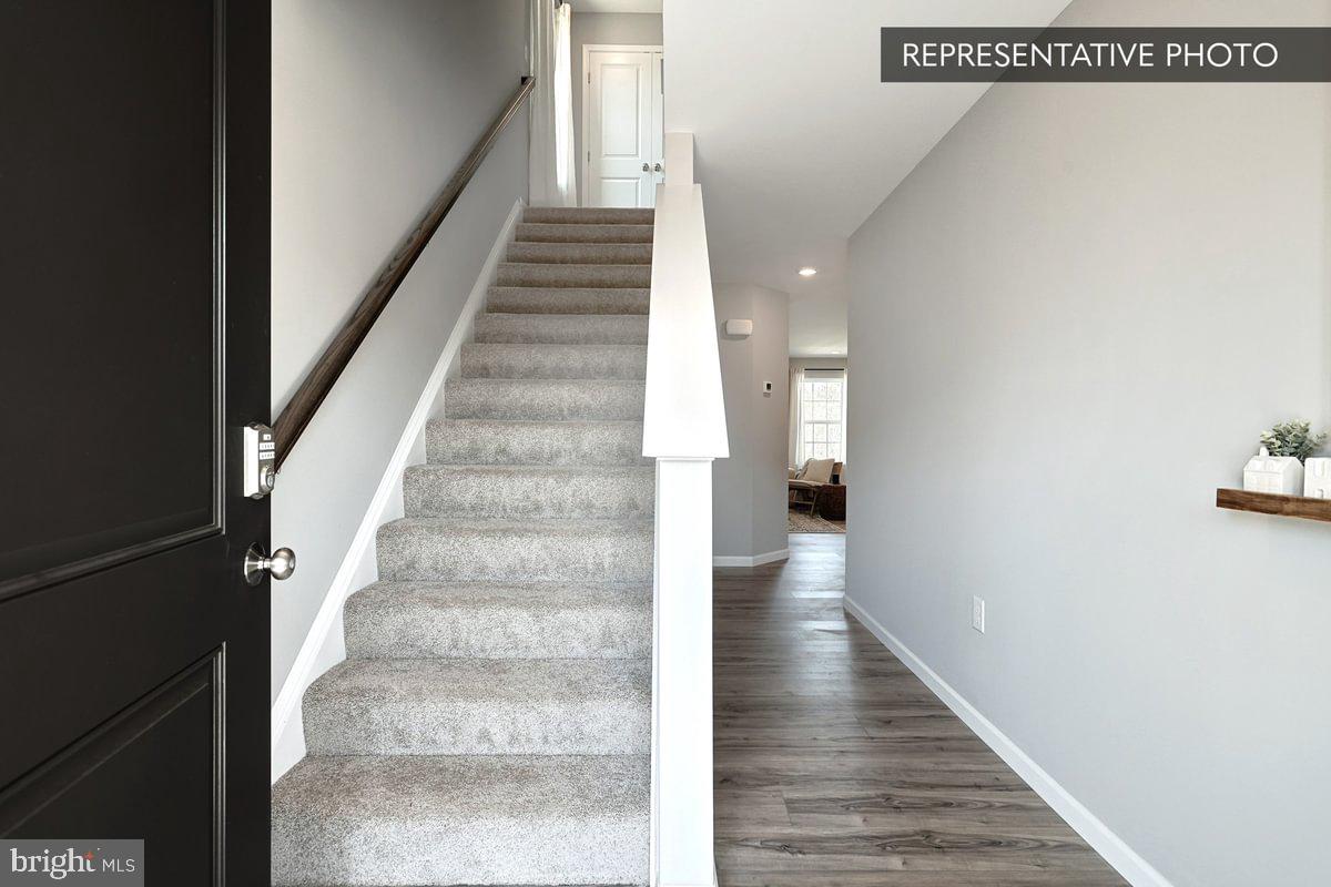 SHADY LANE ESTATES - Residential