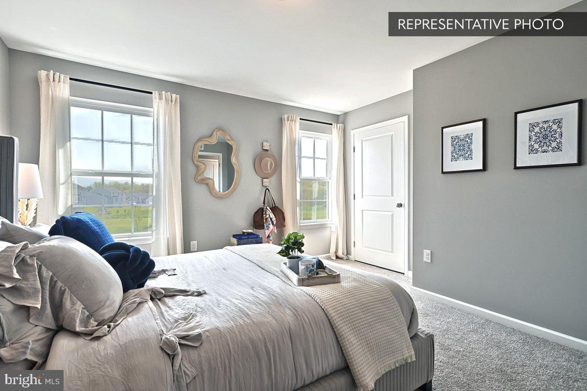 SHADY LANE ESTATES - Residential