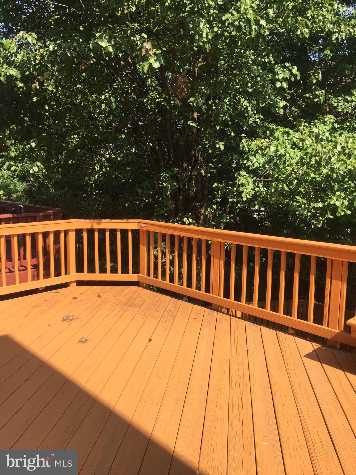 KINGSTOWNE - Residential Lease