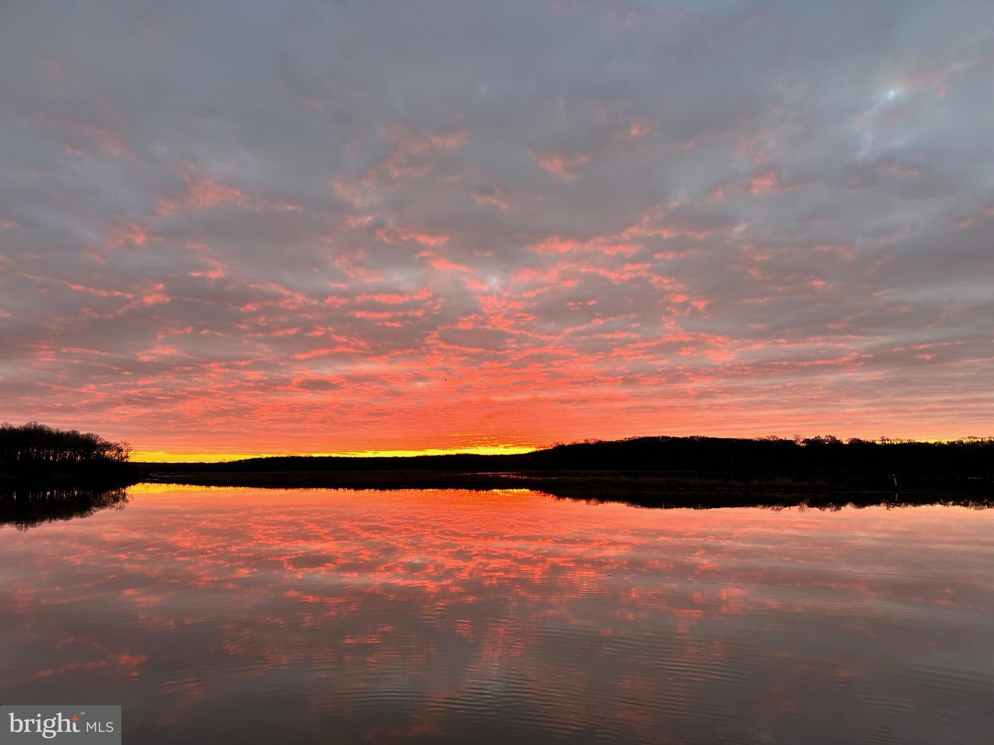 MATTINGLY AVE IND HEAD - Residential