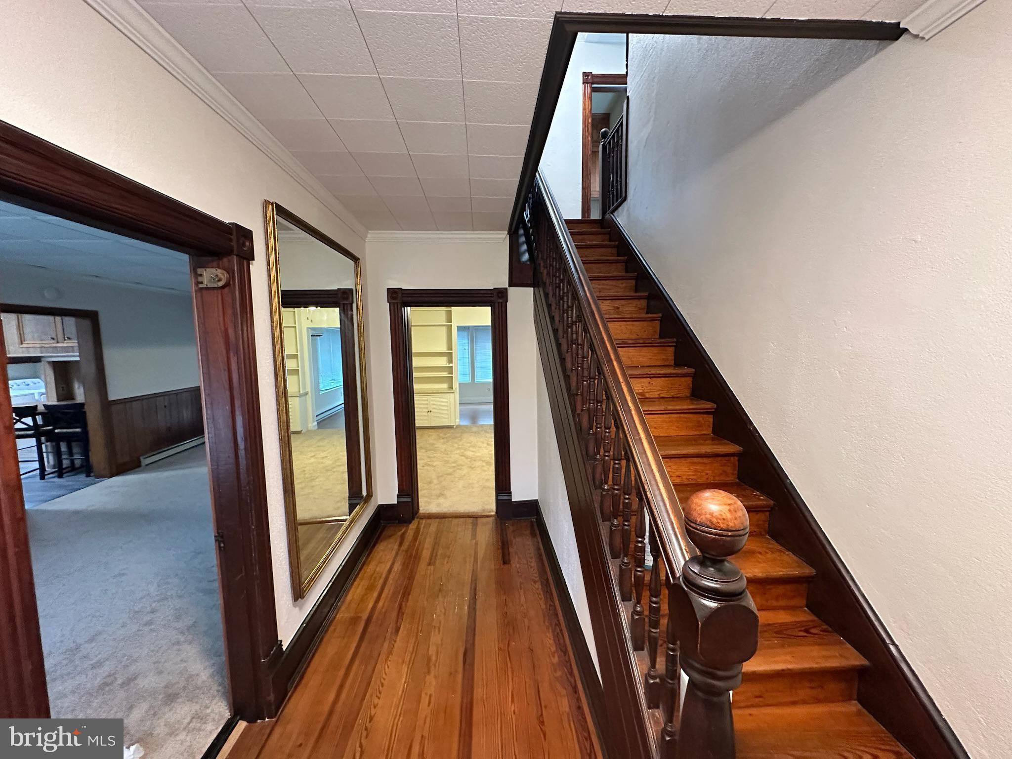 MATTINGLY AVE IND HEAD - Residential