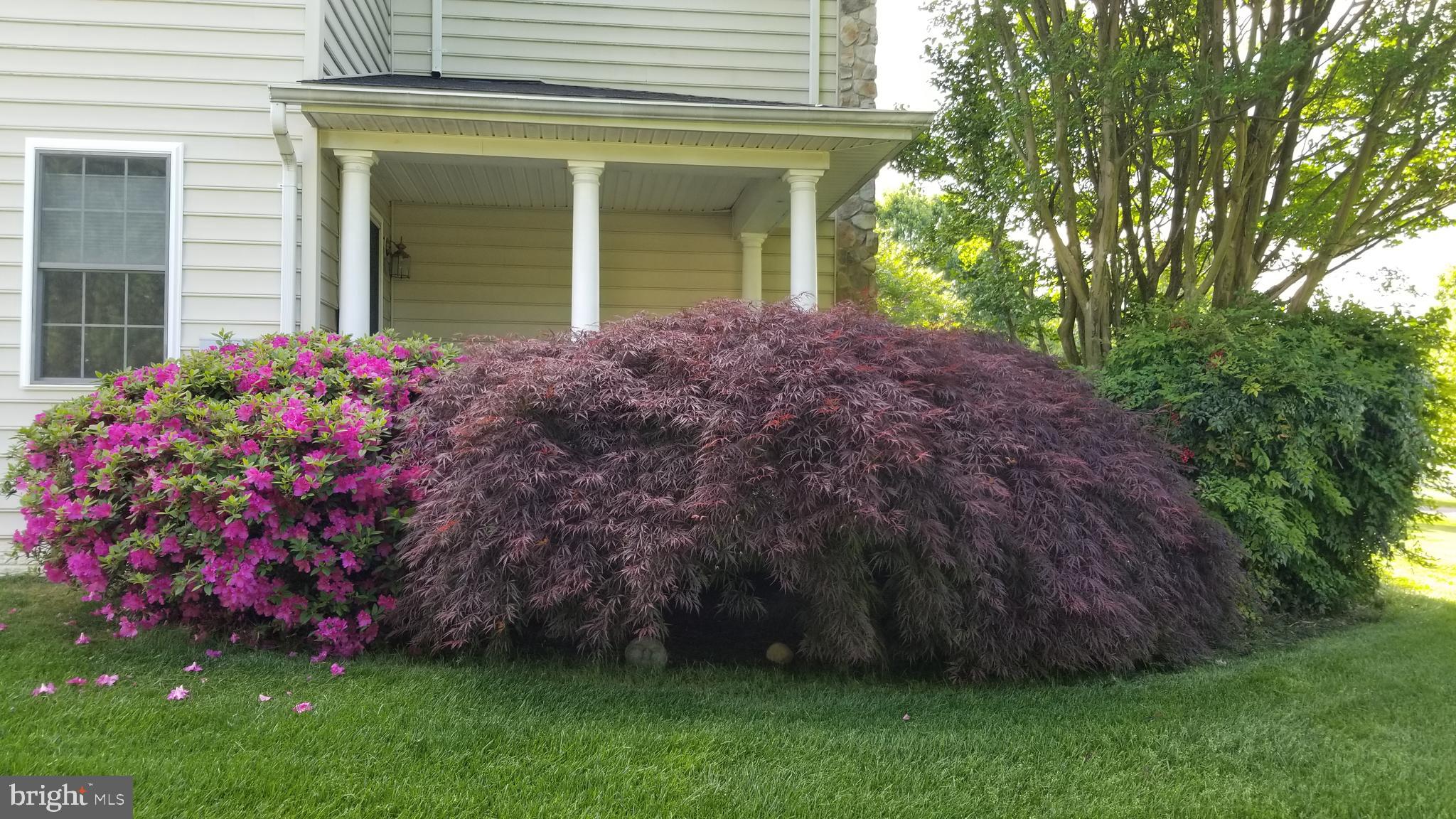 LYONS CREEK OVERLOOK - Residential