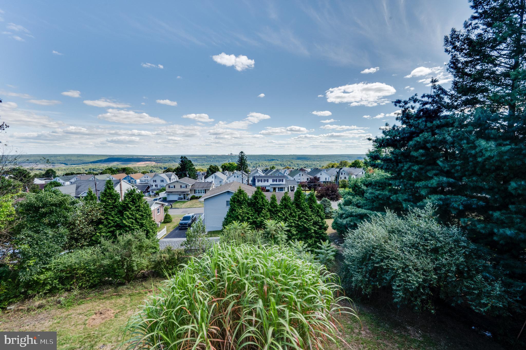 SHENANDOAH HEIGHTS - Residential