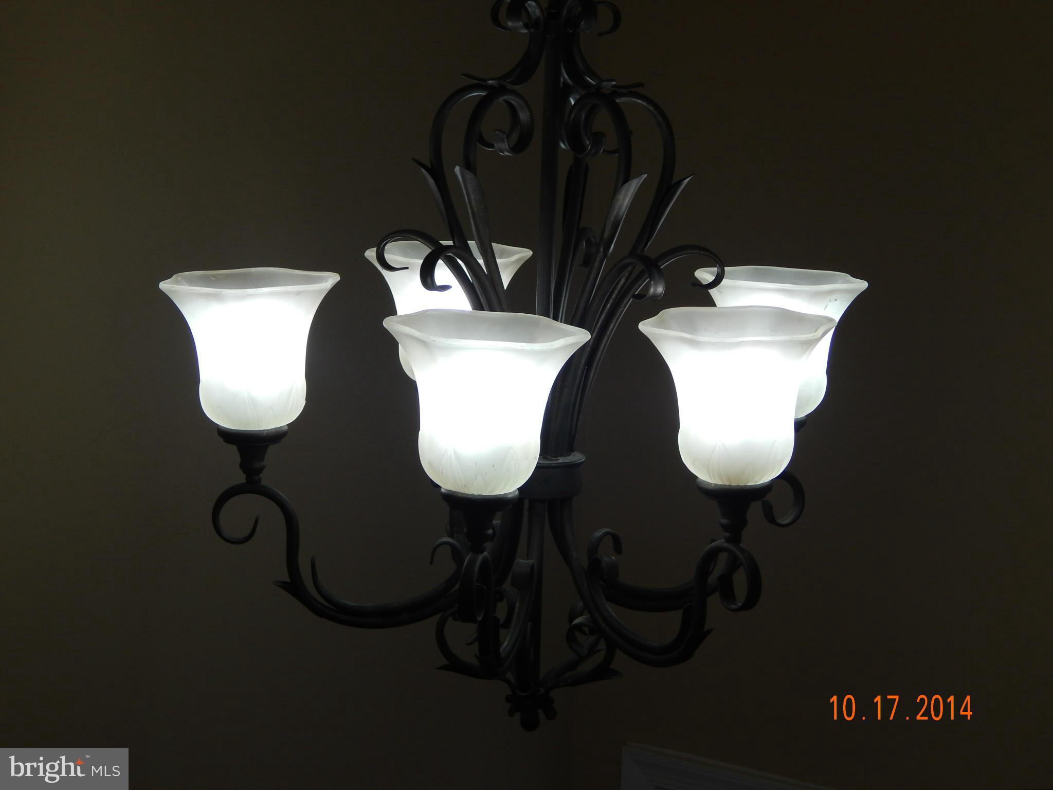 FERRY FARMS - Residential