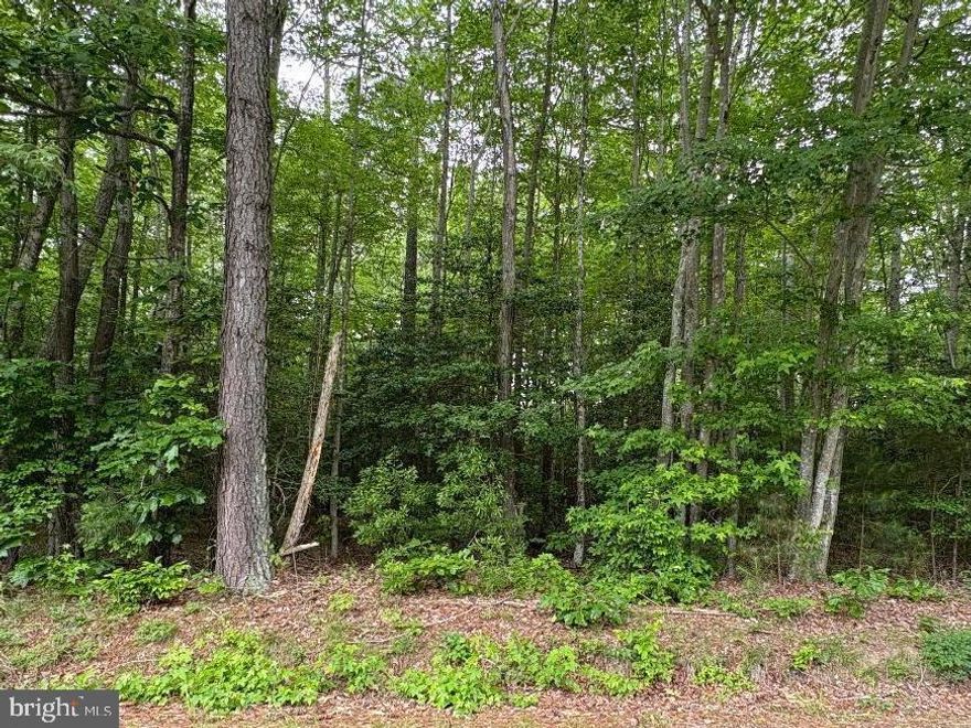 5.87 Acres – Wooded Retreat on Bogey Neck Rd, Northumberland County, VA

Escape to the peace and privacy of country living with this beautiful 5.870-acre wooded parcel located on Bogey Neck Road in scenic Northumberland County, Virginia. Tucked away in a quiet, rural setting, this property offers the perfect opportunity to build your dream home, weekend getaway, or private retreat.

Surrounded by mature trees and natural beauty, the land provides both seclusion and flexibility—clear what you need while preserving the rest for shade, wildlife, and tranquility. Whether you're looking to enjoy outdoor recreation, establish a homestead, or simply invest in land, this property delivers.

Property Highlights:

5.870 acres of wooded land
Located on Bogey Neck Rd
Peaceful, rural setting with abundant privacy
Ideal for a custom home, cabin, or recreational use
Quick access to nearby towns, waterways, and amenities
Experience the charm of Northern Neck country living

Enjoy the slower pace of life while still being within reach of conveniences. Bring your vision and make this slice of Virginia countryside your own.

Don’t miss this opportunity to own your own piece of land in Northumberland County!