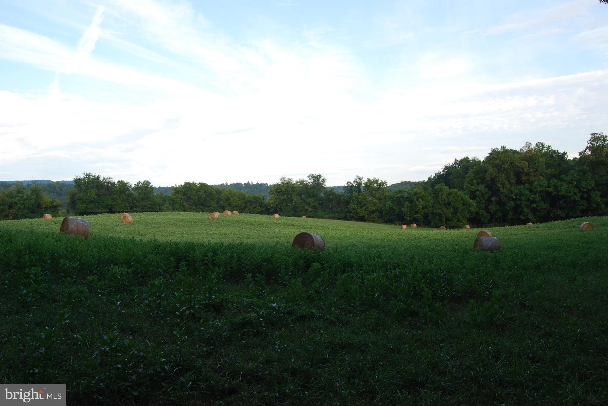 NONE AVAILABLE - Farm