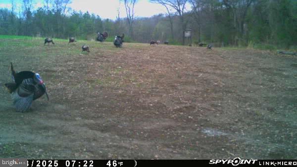 NONE AVAILABLE - Farm