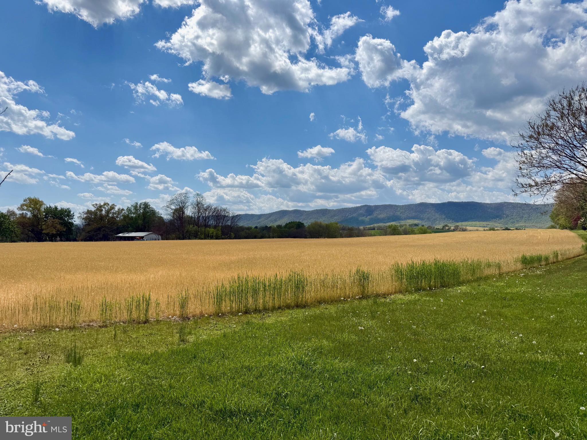 MERCERSBURG BOROUGH - Residential