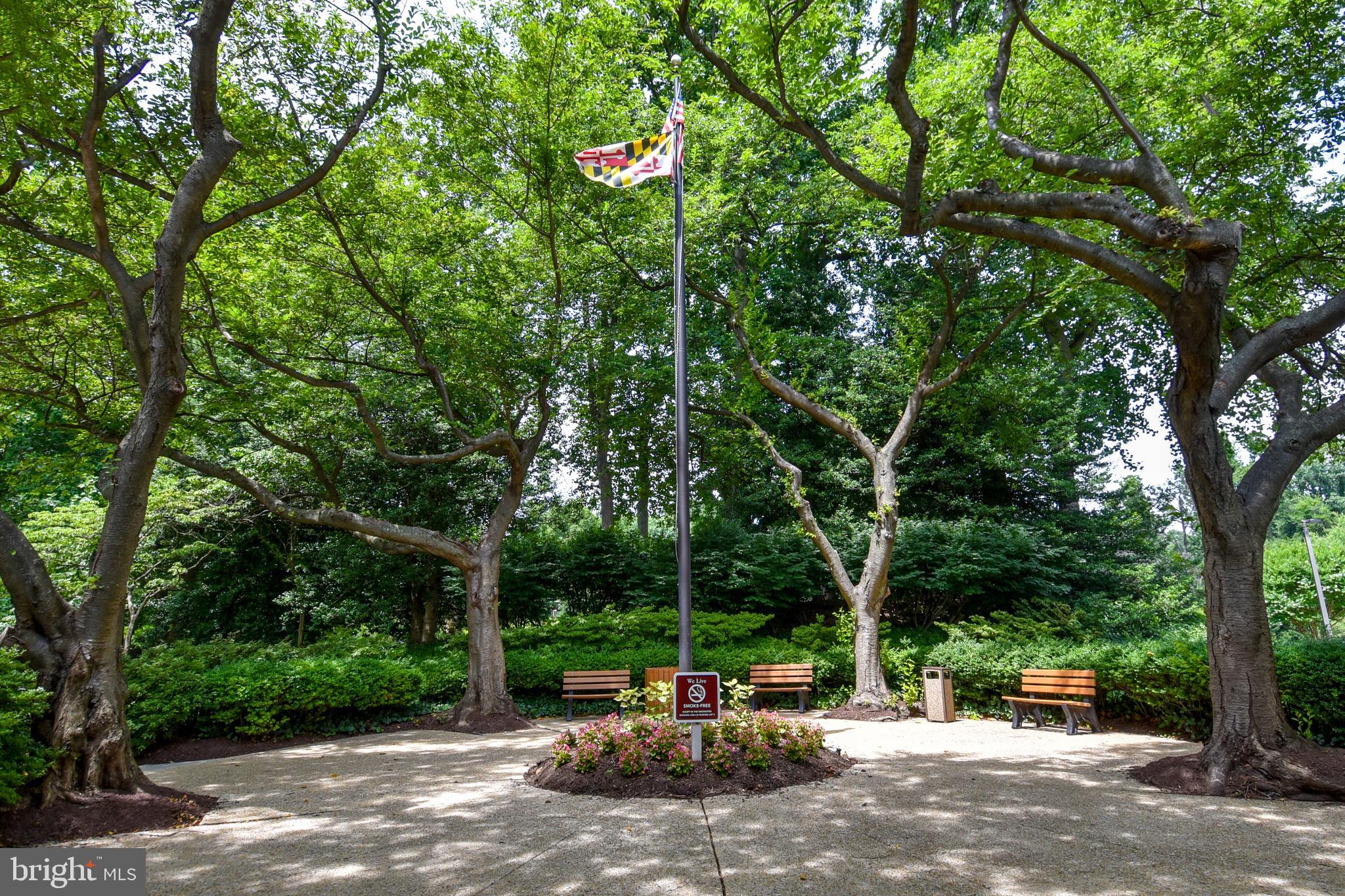 BETHESDA OUTSIDE - Residential