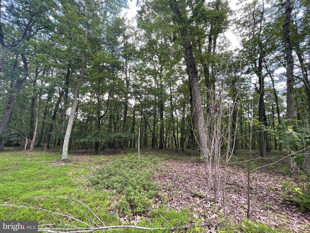 Photo of 124 Spring Mountain Drive, ZION GROVE, PA 17985 (MLS # PASK2025364)