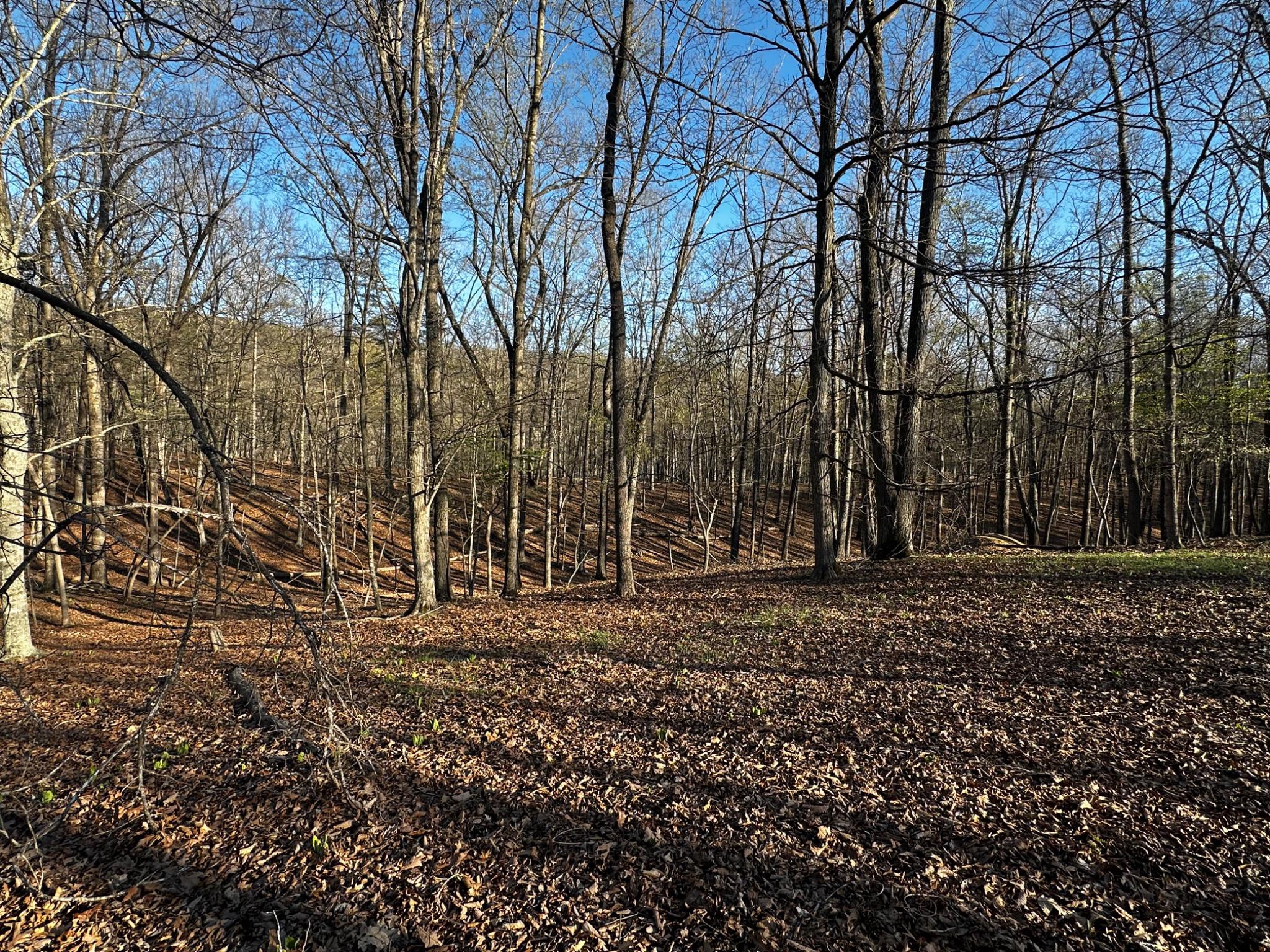 THE CROSSING AT GREAT CACAPON - Land
