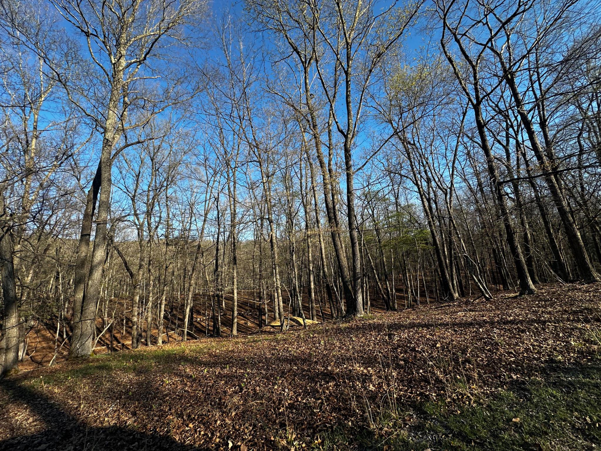 THE CROSSING AT GREAT CACAPON - Land