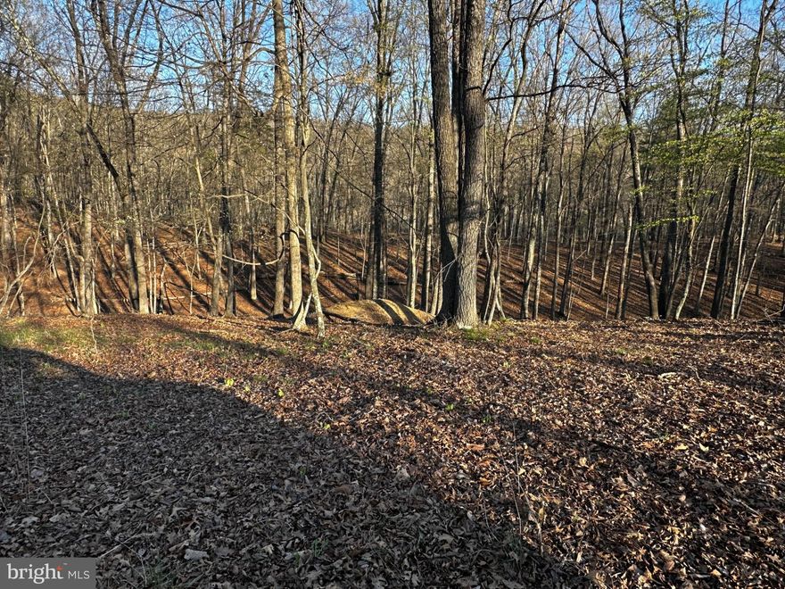 Discover your perfect escape with this beautiful 3.47-acre parcel nestled in the prestigious, gated river community of The Crossings at Great Cacapon. Offering a rare blend of privacy, natural beauty, and convenience, this property is an ideal setting for your weekend retreat or future dream home.

The land features gently sloping terrain with a flat, elevated building site—perfect for capturing scenic views and creating your own private haven. Electric is available, and the property is ready for your vision with well and septic needed, giving you the flexibility to build exactly the way you want.

Enjoy seasonal camping from March 1 through December 31 while you plan your build or simply unwind in nature. Whether you enjoy fishing, canoeing, kayaking, or simply relaxing by the water, this property offers endless outdoor recreation.

Conveniently situated just about two hours from Washington, D.C., Baltimore, and Northern Virginia, this location provides the perfect balance of peaceful seclusion and accessibility.

Whether you're dreaming of a cozy cabin, a mountain getaway, or a full-time residence, this slice of West Virginia paradise offers the space, freedom, and natural beauty to make it a reality.